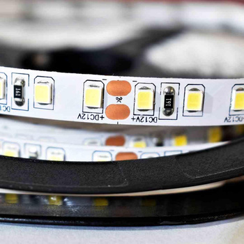 Taśma Pro 120 LED 48W 6000K IP20 5m