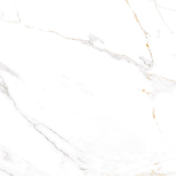 VERONA GOLD 60X60, Połysk (PD-ZA-VG-7001)