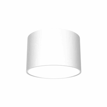 Lampa sufitowa DIXIE White  1xGX53