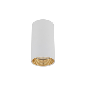 AMIS WHITE DOWNLIGHT
