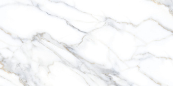 CARLOS STATUARIO 60x120 CARVING