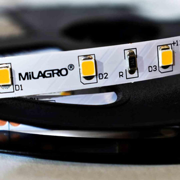 Taśma Pro 60 LED 24W 3000K IP20 5m