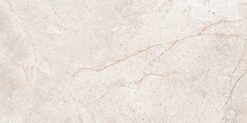 BELMOND BROWN GLOSSY REKT. 30X60 GAT.1