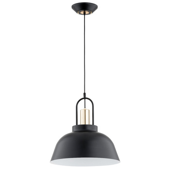 Industrialna lampa MIRAVEL 61319 z kloszem
