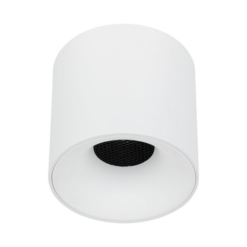 BLAZE WHITE CCT 30W