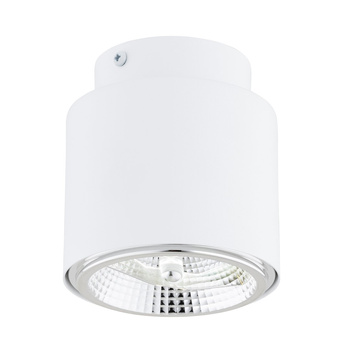 Lampa sufitowa 1-punktowa NANO 1 WHITE 1311/1