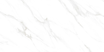 CLASSIC CORAL 60x120 CARVING