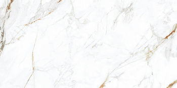 VIENNA BIANCO 60x120 POLISHED