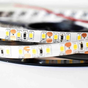 Taśma Pro 120 LED 48W 6000K IP65 5m